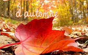 Vacances d'Automne