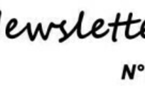NewsLetter n°11
