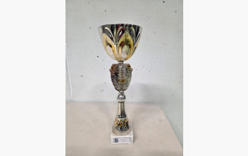 L'équipe masculine conserve son Titre à Conflans !