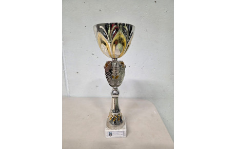 L'équipe masculine conserve son Titre à Conflans !